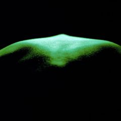 ES0002-07-01-Draco