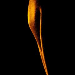 ES0076-006-Tevel